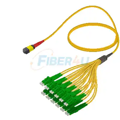 MPO-Fanout Fiber