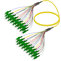 Fanout Kablo LC/APC-LC/APC 24 Fiber SM  resmi