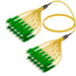Picture of Fanout Kablo LC/APC-LC/APC 24 Fiber SM 