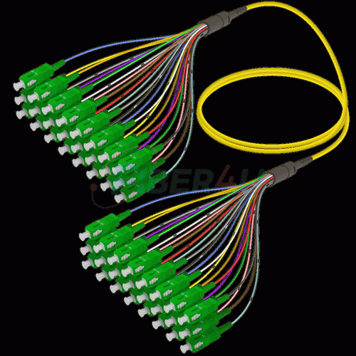 Picture of Fanout Kablo SC/APC-SC/APC 24 SM 