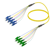 Fanout SM 8 Fiber kategorisi için resim