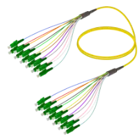 Fanout SM 12 Fiber kategorisi için resim