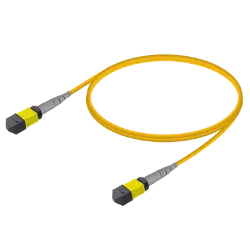 MPO Patchcord Male-Male Base-8 SM  resmi
