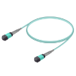Picture of MPO Patchcord Female-Female Base-8 MM OM3 