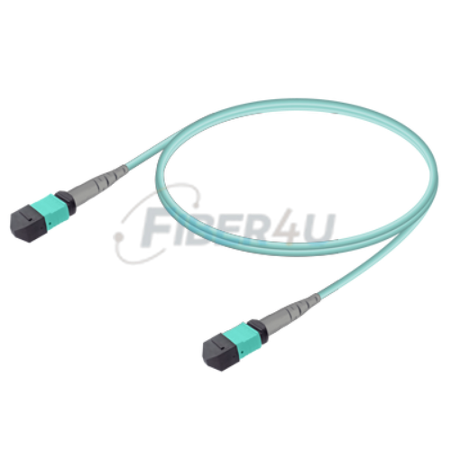 Picture of MPO Patchcord Female-Female Base-8 MM OM3 