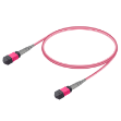 Picture of MPO Patchcord Female-Female Base-8 MM OM4 
