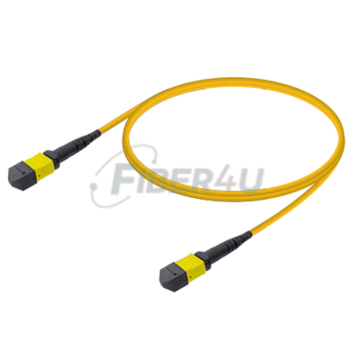 Picture of MPO Patchcord Female-Female Base-12 SM 