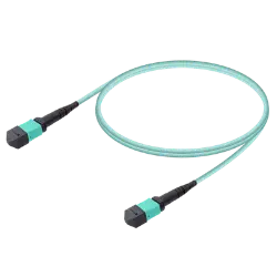 Picture of MPO Patchcord Female-Female Base-12 MM OM3 