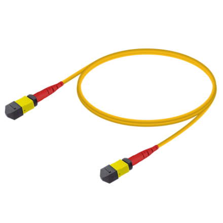 MPO Patchcord Female-Female Base-24 SM  için detayları göster MPO Patchcord Female-Female Base-24 SM  resmi