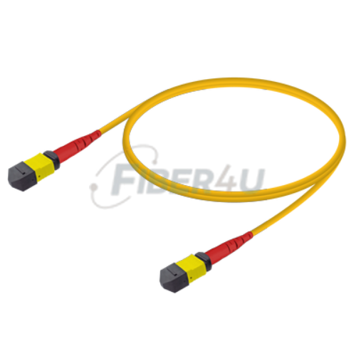 MPO Patchcord Female-Female Base-24 SM  resmi
