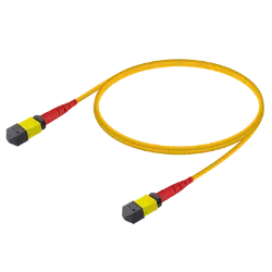 MPO Patchcord Male-Male Base-24 SM  resmi