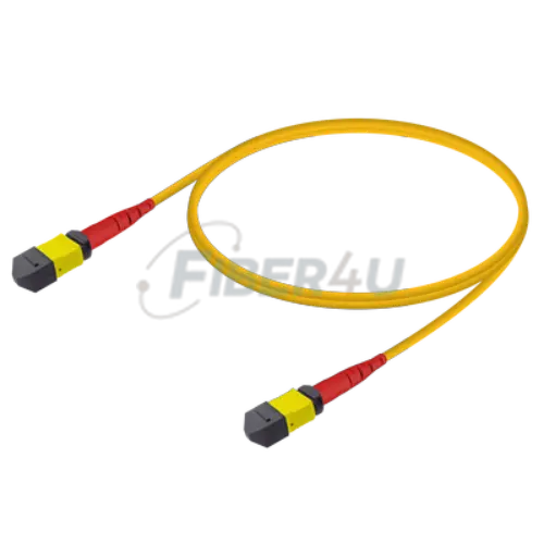 MPO Patchcord Male-Male Base-24 SM  resmi