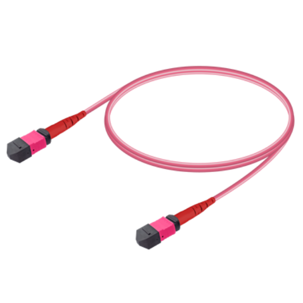 Picture of MPO Patchcord Female-Female Base-24 MM OM4 