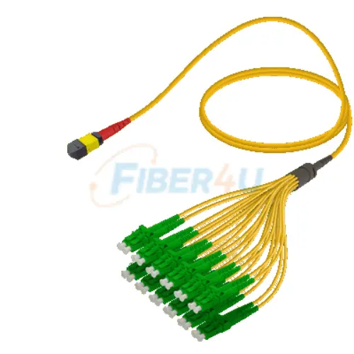 MPO Patchcord Male-LC/APC Base-24 SM  resmi