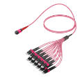 Picture of MPO Patchcord Male-LC/UPC Base-24 MM OM4 