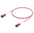 Picture of MPO Patchcord Female-Female Base-16 MM OM4 
