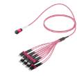 Picture of MPO Fiber Kablo Female-LC/UPC Base-16 MM OM4 